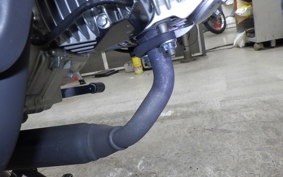 HONDA MONKEY 125 1993 JB03