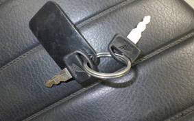 HONDA GORILLA 2024 AB27