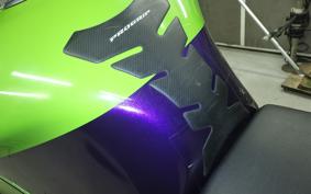 KAWASAKI ZX900R NINJA 2013 ZX900E