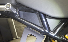 DUCATI DESSERT X 2024