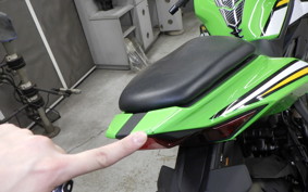 KAWASAKI ZX-4RR 2025 ZX400P