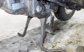 HONDA DJ-1 2024 AF12