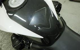 BMW HP2 SPORT 2009