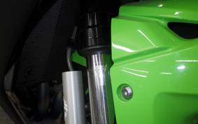 KAWASAKI ZX 10 NINJA R 2019 ZXT02E