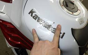 KAWASAKI ZX 1400 NINJA 2015