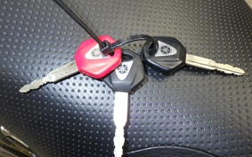 YAMAHA XJR1300 Gen.2 2009 RP17J