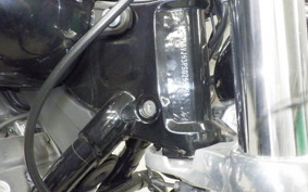 HARLEY FXST1750 2023