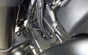 TRIUMPH TRIDENT 660 2021