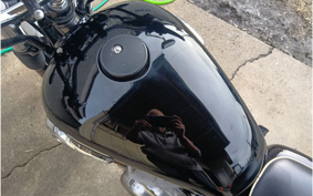 KAWASAKI W800 2011 EJ800A