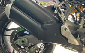 DUCATI MONSTAR 821 2019 MH00