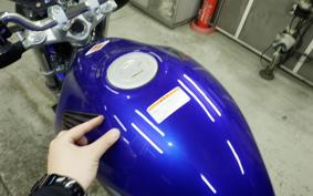 HONDA VTR 250 2020 MC33