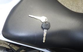 YAMAHA YZF-R25 RG43J