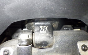 HARLEY FXDRS1870 2019