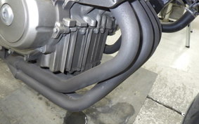 HONDA HORNET 250 2024 MC31