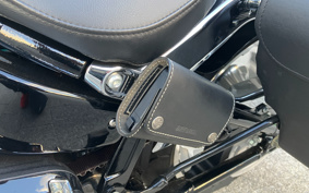 HARLEY FLFBS 2021 YGK