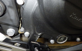 KAWASAKI NINJA 250 2 2019 EX250P
