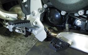 BMW F800GS 2025