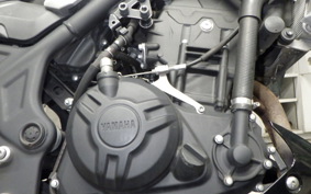 YAMAHA MT-25 2013 RG10J
