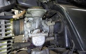 KAWASAKI Z250 Limited 2022 KZ250H