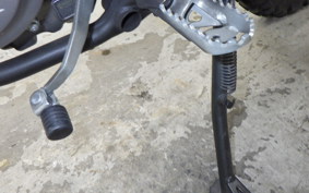HONDA CRF250L 2009 MD47