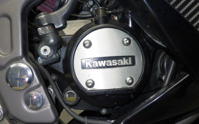 KAWASAKI NINJA150RR 2011