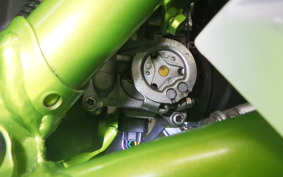 KAWASAKI NINJA 250 SL