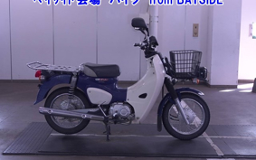 OTHER C110PU LOW 3