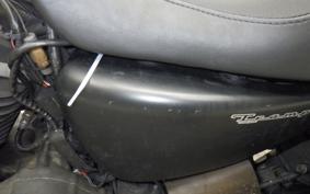 HARLEY XL883N 2010