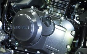 SUZUKI V-STROM 250