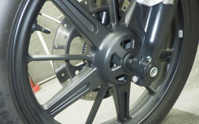 OTHER +ENFIELD SUPER ﾒﾃｵ650 2024