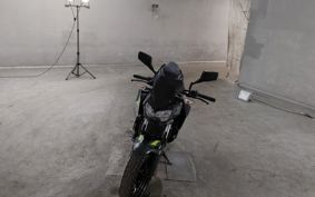 KAWASAKI Z250 EX250P