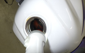 YAMAHA TT250R RAID 4WA