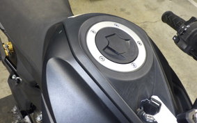 KAWASAKI Z125 PRO 2010 BR125H
