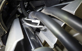 HONDA LEAD 110 2003 JF19