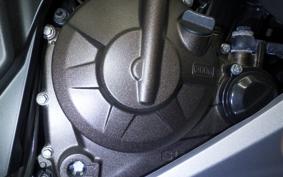 SUZUKI ｼﾞｸｻｰ250SF 2024 ED22B