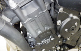 YAMAHA FZ1 FAZER 2012 RN21J
