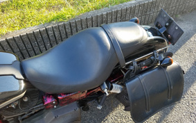 HARLEY FXDL 100th 2003 GDV
