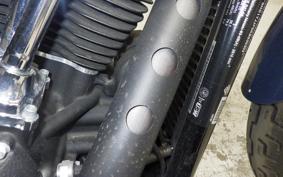 HARLEY FXBB1750 2019