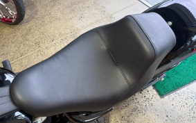 HARLEY FXLRS 2025 YWA