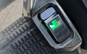 HONDA  FORZA 250 MF13