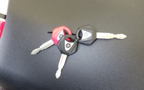 YAMAHA YZF-R1 2022 RN65J