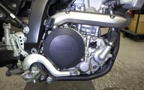 YAMAHA WR250X 2021 DG15J