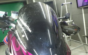 TRIUMPH STREET TRIPLE R 2009