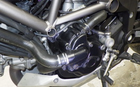 DUCATI MULTISTRADA 1200 S 2010