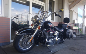 HARLEY FLSTC 2017 BWV