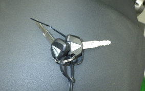 KAWASAKI VERSYS 1000 SE 2021