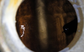 YAMAHA FJ1200 1988 3CV