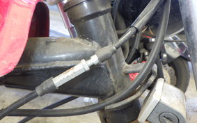 OTHER +UNREGISTERED MODEL by BDS50