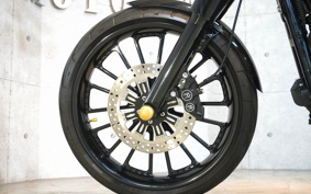 HARLEY FXDL 2009 GN4