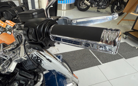 HARLEY  HARLEY FLFBS 2023 YGK